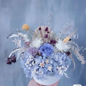 Meet your Posher, Susan